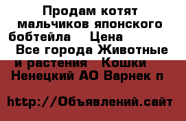 Продам котят мальчиков японского бобтейла. › Цена ­ 30 000 - Все города Животные и растения » Кошки   . Ненецкий АО,Варнек п.